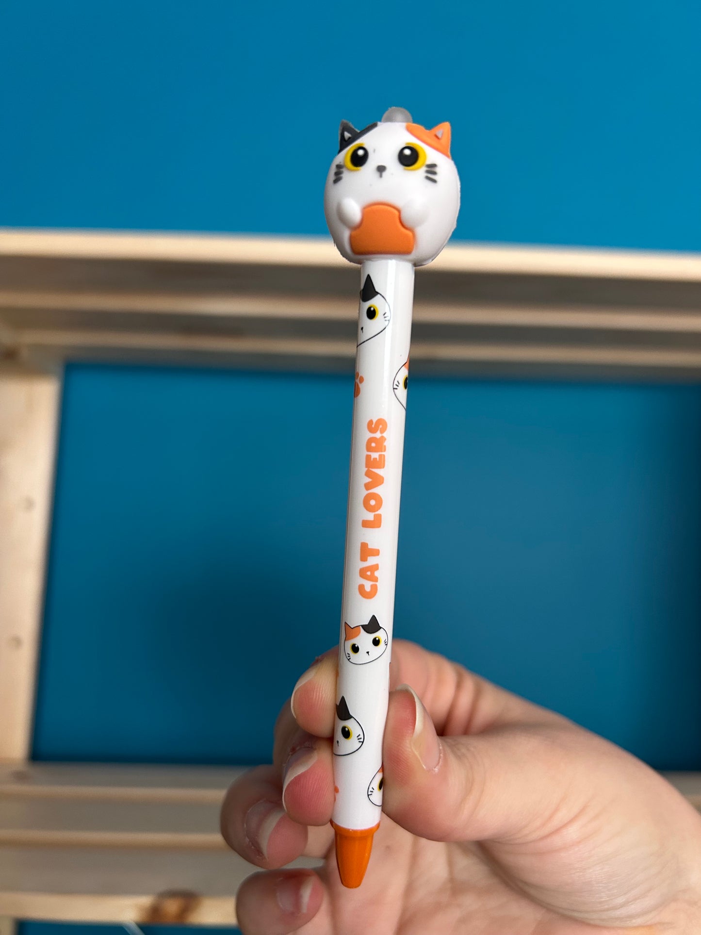 Stylos Effaçables 3D Assortis