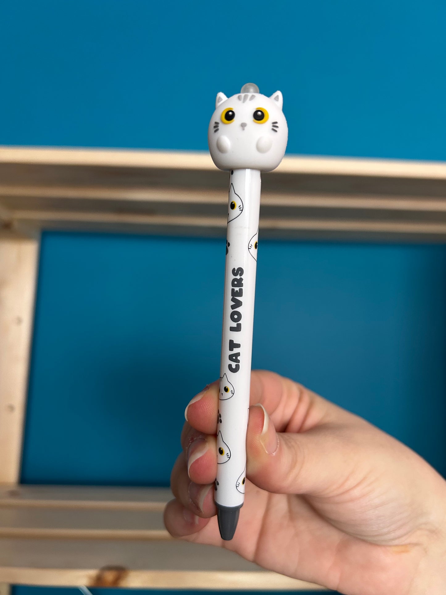 Stylos Effaçables 3D Assortis