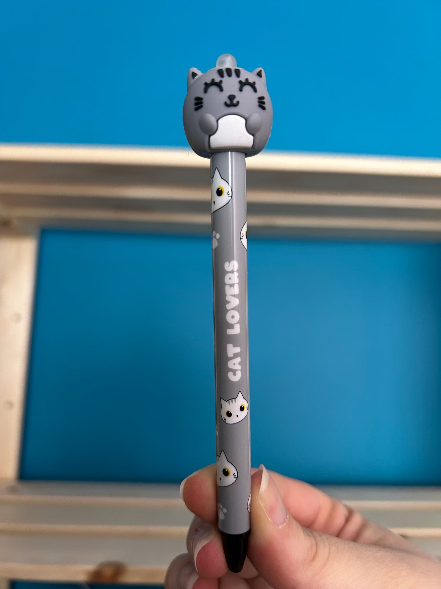 Stylos Effaçables 3D Assortis