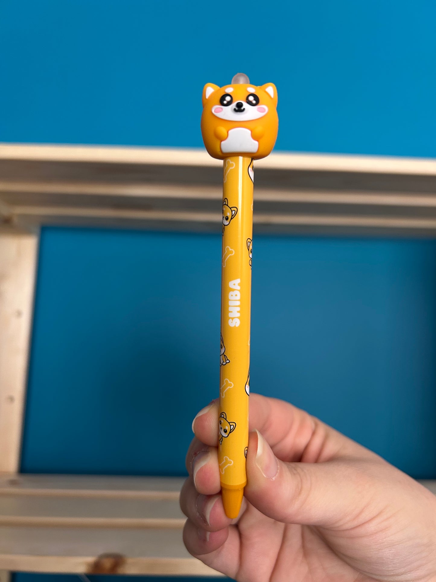 Stylos Effaçables 3D Assortis